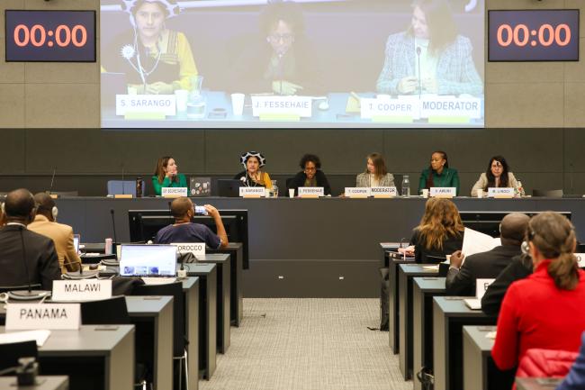 A view of the panel during Session 10 