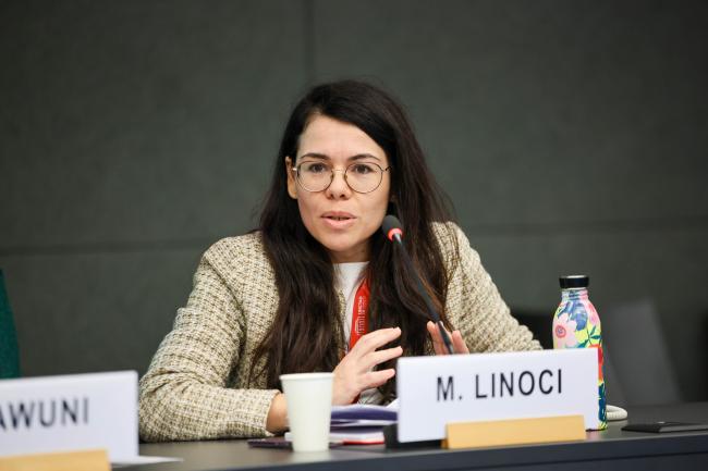 Mariangela Linoci, UNCTAD 