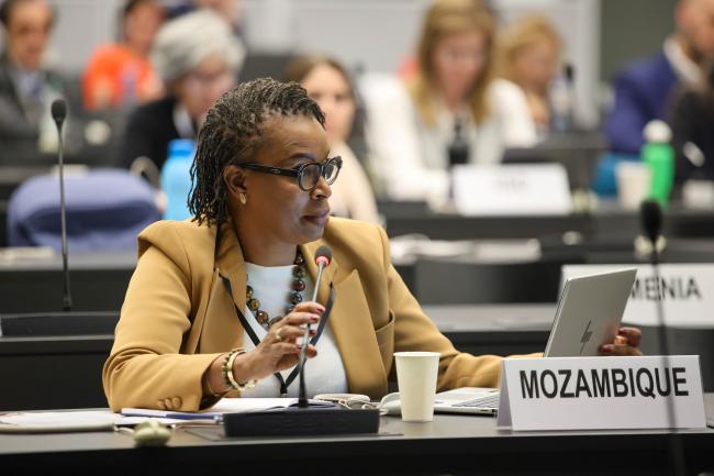 Maura Jorge Ingora, Mozambique 