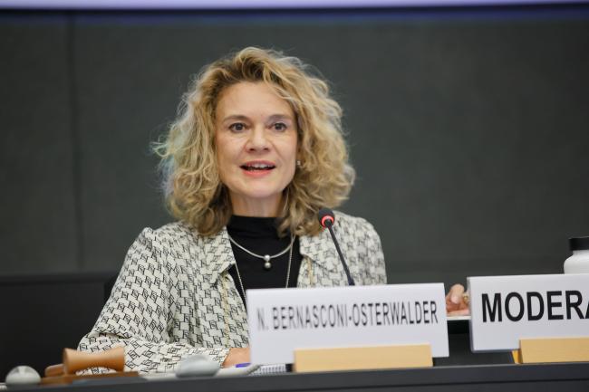 Nathalie Bernasconi-Osterwalder, IISD