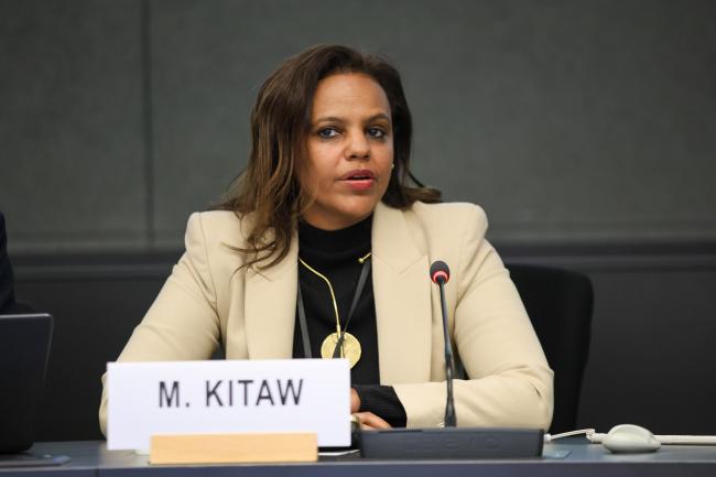 Marit Kitaw, UN Economic Commission for Africa 