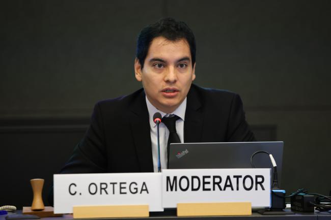 Carlos Alberto Ortega, IGF Secretariat 