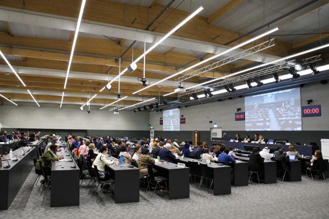 A view of the room during Session 12 