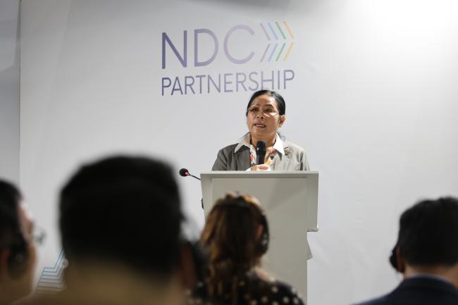 Ngin Lina, Secretary of State and Chair, GMAG, Ministry of Environment, Cambodia 