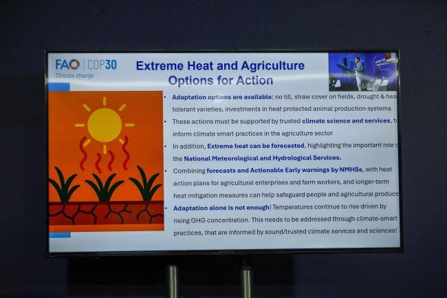 A slide from Stefan Uhlenbrook's presentation