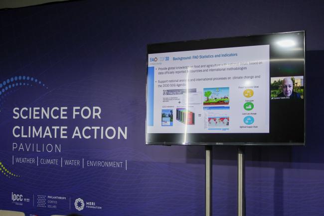 Francesco Tubiello, Senior Statistician, FAO, addressed the event online. 