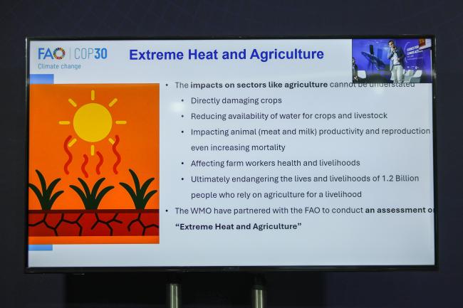 A slide from Stefan Uhlenbrook's presentation 