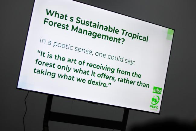 A slide from Jeanicolau Simone de Lacerda's presentation