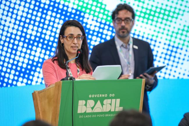 Mariana Panuncio-Feldman, Director Country Engagement, NDC Partnership 