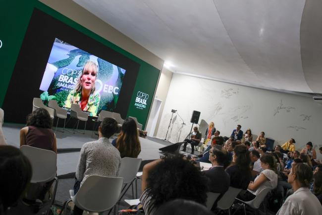 Eleanor Besley Gould, Chief Executive Officer, Sustainable Shipping Initiative, addressed the event virtually.