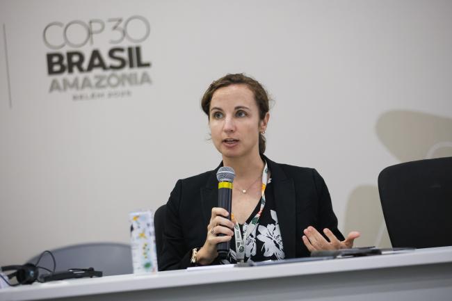 Maura Lillis, Director of Multilateral and Bilateral Partnerships, Rocky Mountain Institute