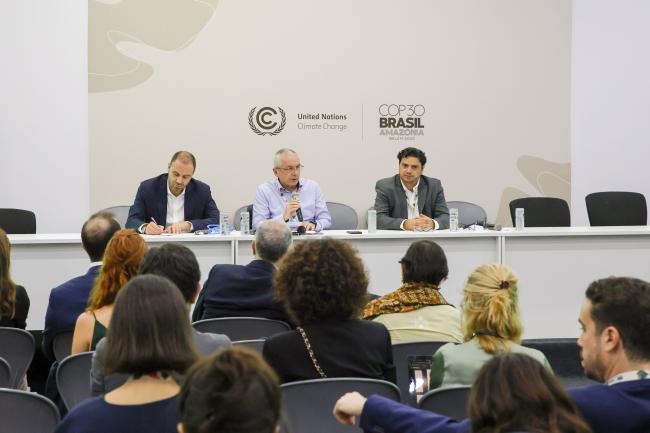 A view of the panel 