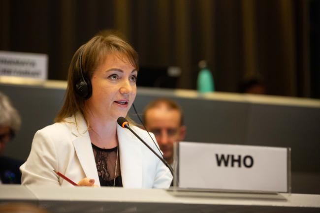 Elena Jardan, World Health Organization_MinamatCOP6_03Nov25_photo.jpg