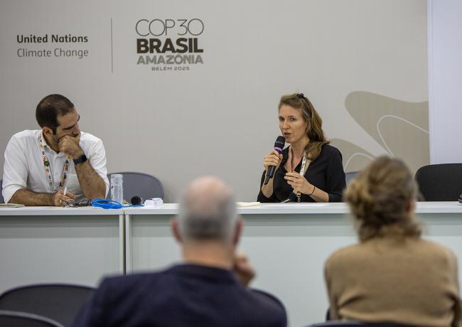 Elise Billard, Head of Climate Strategy, Crédit Agricole SA- Climate Finance for Agrifood - COP30 - 18Nov