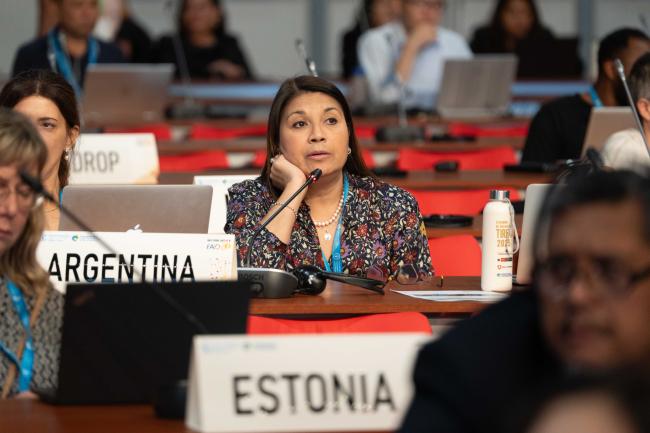 Fernanda Millicay, Argentina_ITPGRFA_GB11_26th_AndresC-201525