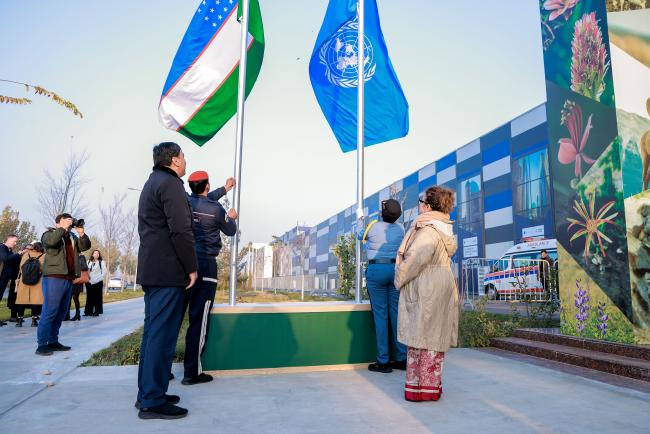 Flag raising