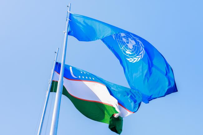 Flags from Uzbekistan and the UN
