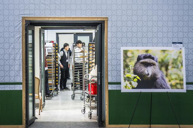 CITES COP20