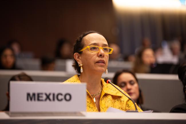Francisca Mendez Escobar, Mexico_MinamatCOP6_03Nov25_photo.jpg