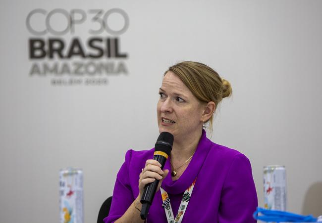 Frauke Rinelli, Senior Policy Officer, Federal Ministry for Economic Cooperation and Development, Germany- Climate Finance for Agrifood - COP30 - 18Nov