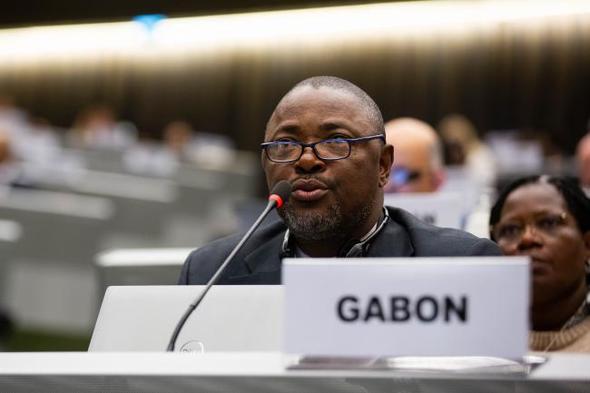 GabonSpeaker_MinamataCOP6_06Nov25_photo.jpg
