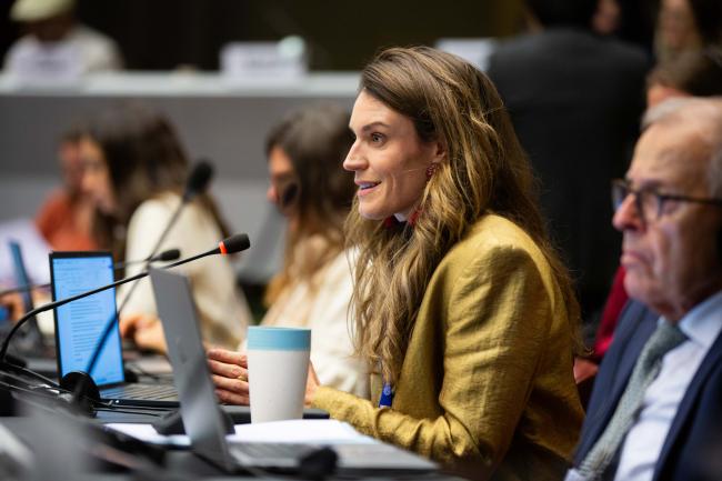 Halka Graczyk, International Labour Organization_MinamataCOP6_05Nov25_photo.jpg