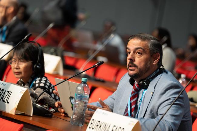 Henry Philippe Ibanez Novion, Brazil_ITPGRFA_GB11_26th_AndresC-201867