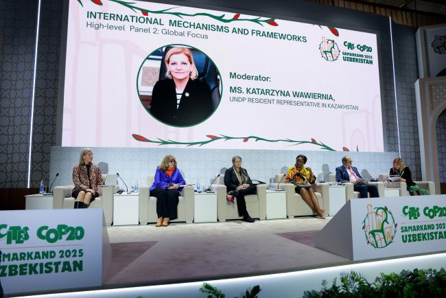 High-level panel 2