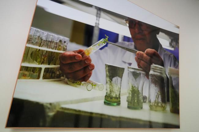 ITPGRFA_CropDivDay_25_AndresC-101063