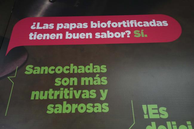 ITPGRFA_CropDivDay_25_AndresC-101077.