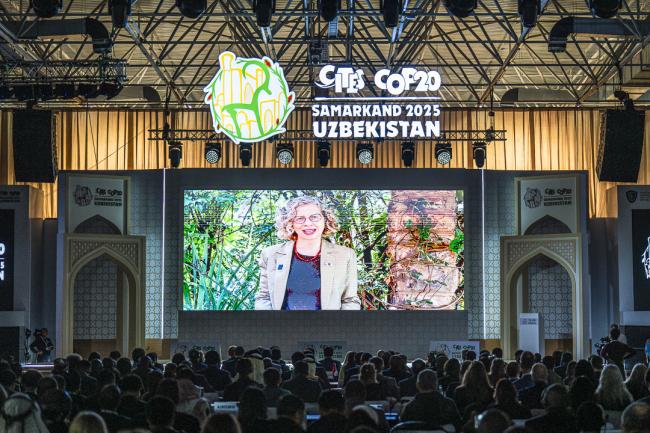 CITES COP20