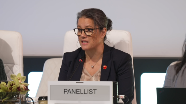 Inger Ashing, Chief Executive Officer, Save the Children International mine _2ndWSSD_5Nov2025_AndresC_Web