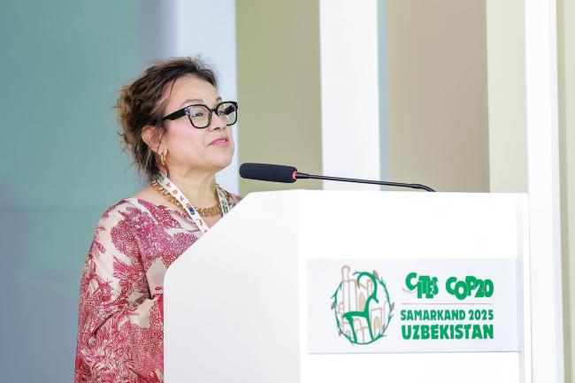 Ivonne Higuero , CITES Secretary-General