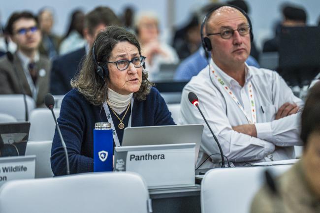 CITES COP20