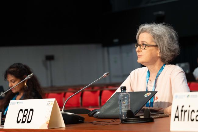 Kathryn Garforth, CBD Secretariat_ITPGRFA_GB11_26th_AndresC-201608
