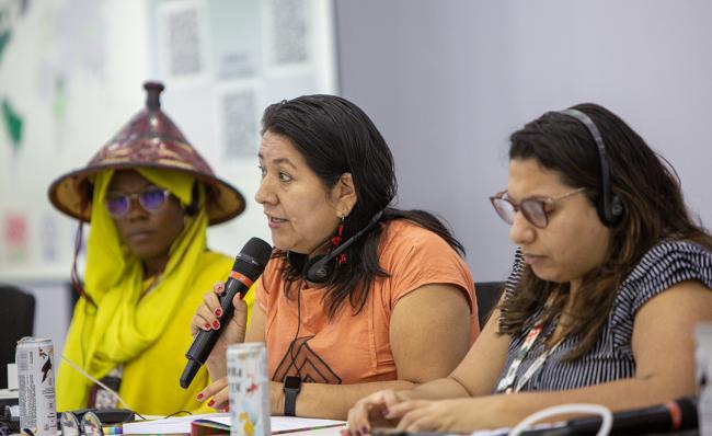 Ketty Marcelo López, leader of the OMIAASEC - Recognition of indigenous Peoples in NDCs - COP30 - 12 Nov 2025