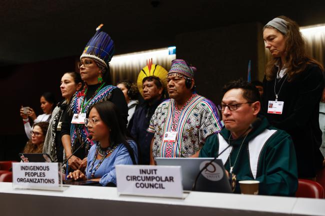 LEAD_MinamataCOP6_05Nov25_photo.jpg