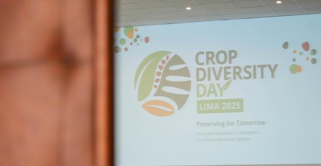 Lead_ITPGRFA_CropDivDay_25_AndresC-101082