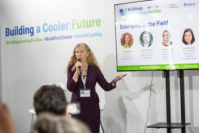 Liz Beardsley, USGBC - Delta - COP30 - 17Nov