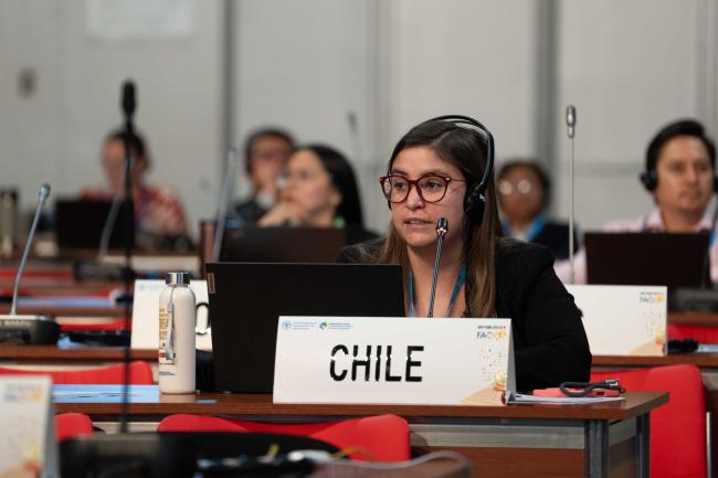 María José Pizarro Álvarez, Chile_ITPGRFA_GB11_26th_AndresC-201494