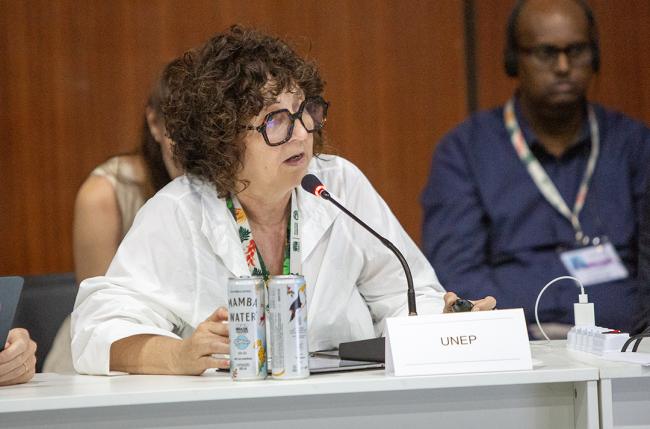 Martina Otto, Head of the CCAC Secretariat, UNEP, -Ministerial FAST+CCAC-19Nov2025