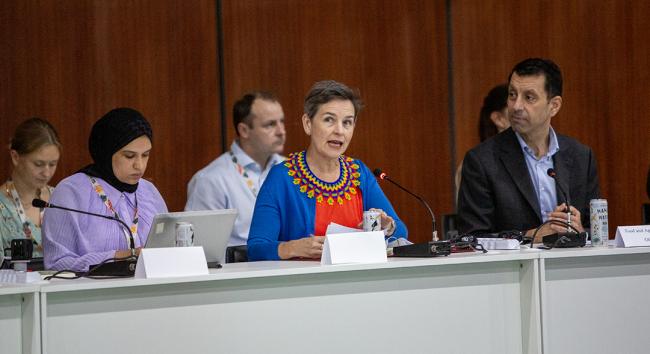 Mary Creagh, Minister of Nature, United Kingdom -Ministerial FAST+CCAC-19Nov2025