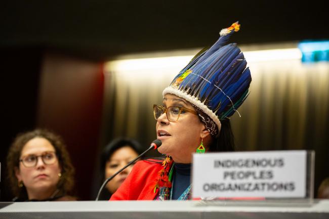 Migdalia Pellicier, IITC_MinamataCOP6_04Nov25_photo.jpg