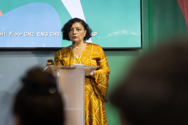 Mirey Atallah, Director of the Adaptation and Resilience Branch, UN Environment Programme (UNEP)