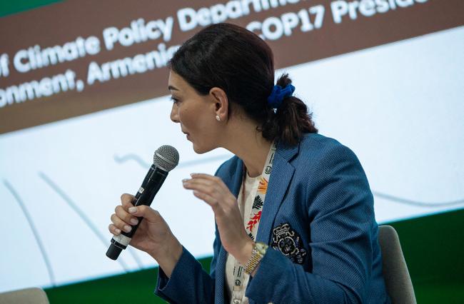 Nona Budoyan, Head, Climate Policy Department, MInistry of Environment, Armenia, and CBD COP 17 Presidency - Accelerating the legacy of Rio - COP30 - 15Nov