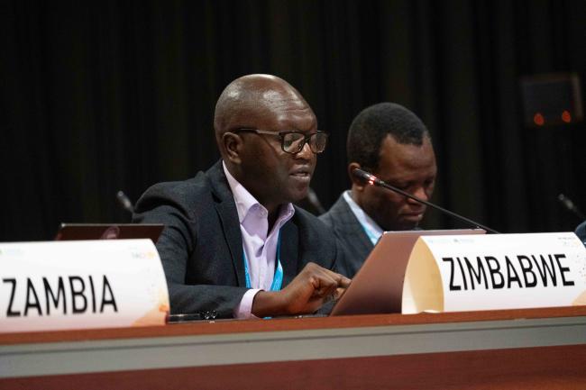 Onismus Chipfunde Zim_ITPGRFA_GB11_26th_AndresC-101993