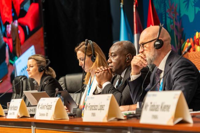 Panel_ITPGRFA_GB11_25th_AndresC-101634