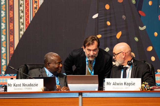 Panel_ITPGRFA_GB11_26th_AndresC-201244