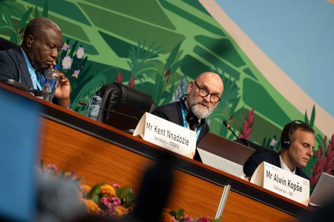 Panel_ITPGRFA_GB11_26th_AndresC-201485