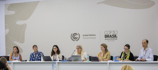 Panelist 3 - Unlocking Climate-SDG Synergies - COP30 - 13 Nov 2025